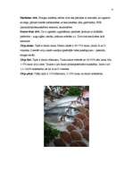 Referāts 'Zivju ķīmiskais sastāvs', 4.