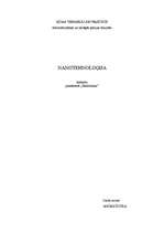 Referāts 'Nanotehnoloģija', 1.