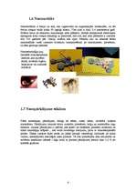 Referāts 'Nanotehnoloģija', 6.