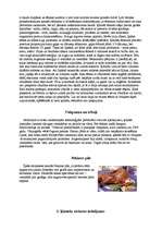 Referāts 'Austrumu kultūra - ķīniešu virtuve', 2.