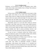 Referāts 'Tiesību normu veidi un to raksturojums', 9.