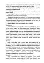 Referāts 'Valsts pazīmes un būtība', 5.