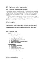 Biznesa plāns 'SIA "Liepājas studija"', 6.