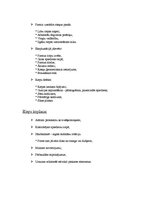 Referāts 'Riepas un diski', 7.