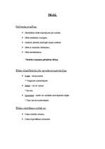 Referāts 'Riepas un diski', 8.