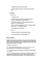 Referāts 'Riepas un diski', 10.