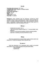 Biznesa plāns 'Biznesa plāns', 4.