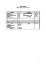 Biznesa plāns 'Biznesa plāns', 13.