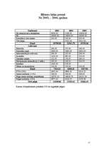 Biznesa plāns 'Biznesa plāns', 17.