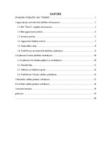 Prakses atskaite 'SIA "Teniss"', 2.