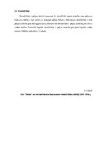 Prakses atskaite 'SIA "Teniss"', 12.