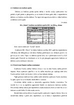 Prakses atskaite 'SIA "Teniss"', 14.