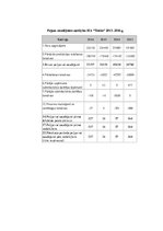 Prakses atskaite 'SIA "Teniss"', 20.