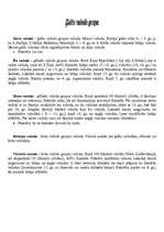 Konspekts 'Ķeltu valodu grupa', 1.