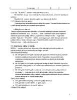 Biznesa plāns 'Biznesa plāns', 7.