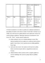 Biznesa plāns 'Biznesa plāns', 17.