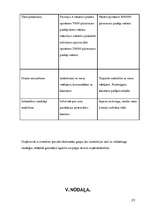 Biznesa plāns 'Biznesa plāns', 23.