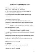 Biznesa plāns 'Biznesa plāns', 24.