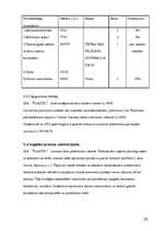 Biznesa plāns 'Biznesa plāns', 25.