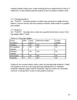 Biznesa plāns 'Biznesa plāns', 28.