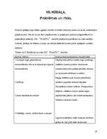 Biznesa plāns 'Biznesa plāns', 29.