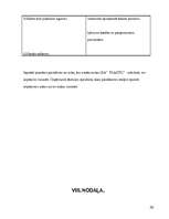 Biznesa plāns 'Biznesa plāns', 30.