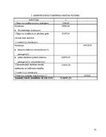 Biznesa plāns 'Biznesa plāns', 32.