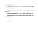 Referāts 'Izklājlapu referāts', 11.