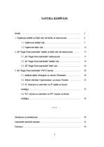 Referāts 'Uzņēmuma iekšējā un ārējā vide', 1.