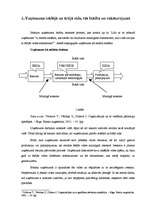 Referāts 'Uzņēmuma iekšējā un ārējā vide', 5.