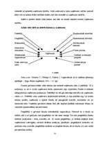 Referāts 'Uzņēmuma iekšējā un ārējā vide', 12.