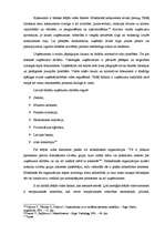 Referāts 'Uzņēmuma iekšējā un ārējā vide', 13.