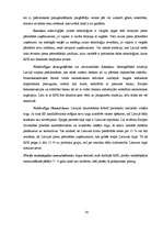 Referāts 'Uzņēmuma iekšējā un ārējā vide', 35.