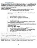 Konspekts 'Mākslas stili', 3.