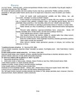 Konspekts 'Mākslas stili', 9.