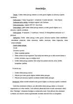 Referāts 'Dažādu ūdens paraugu ietekme uz kviešu graudu dīgšanu un infuzoriju tupelīšu vai', 2.