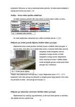 Referāts 'Dažādu ūdens paraugu ietekme uz kviešu graudu dīgšanu un infuzoriju tupelīšu vai', 16.