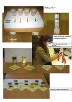 Referāts 'Dažādu ūdens paraugu ietekme uz kviešu graudu dīgšanu un infuzoriju tupelīšu vai', 34.