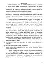 Referāts 'Romānikas stils - mūzikā, mākslā, arhitektūrā', 8.