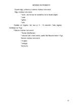 Referāts 'Romānikas stils - mūzikā, mākslā, arhitektūrā', 18.