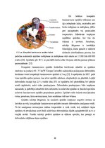 Diplomdarbs 'Mākslīgie gaismas avoti un to energoefektivitātes salīdzinājums', 46.