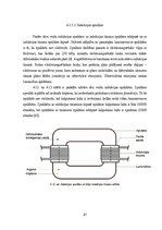 Diplomdarbs 'Mākslīgie gaismas avoti un to energoefektivitātes salīdzinājums', 47.