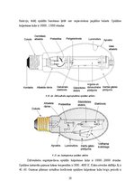 Diplomdarbs 'Mākslīgie gaismas avoti un to energoefektivitātes salīdzinājums', 50.