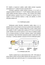 Diplomdarbs 'Mākslīgie gaismas avoti un to energoefektivitātes salīdzinājums', 51.