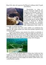 Referāts 'Lielais Ķīnas mūris', 2.