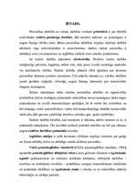 Referāts 'Radošo spēju attīstība jaunākā skolas vecumā', 2.