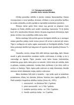 Referāts 'Radošo spēju attīstība jaunākā skolas vecumā', 19.