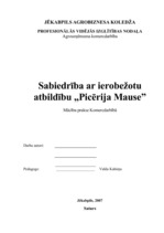 Biznesa plāns 'Biznesa plāns picērijai', 1.