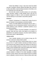 Referāts 'Plastikāta briļļu ietvari', 2.