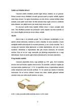 Referāts 'Plastikāta briļļu ietvari', 4.